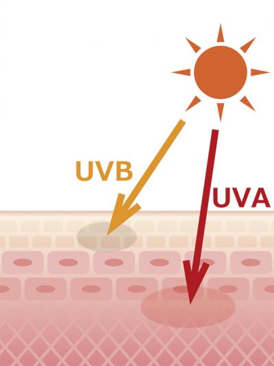 tác động của tia UV lên da